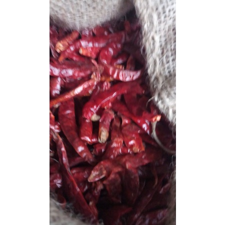 

Kemsan (500Grm) Cabe Teja Caplak Kering Non Tangkai