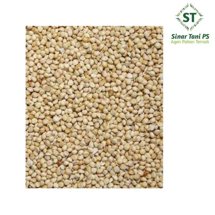 Terlaris Milet Putih 25Kg