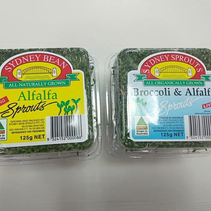 

<<<<<] sydney bean sprout alfalfa / broccoli & alfalfa 125 gram