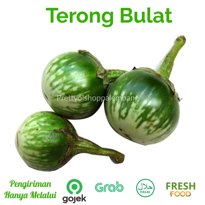 

TERONG LALAP BULAT HIJAU IJO 250 GRAM -BLI SAYUR PALEMBANG