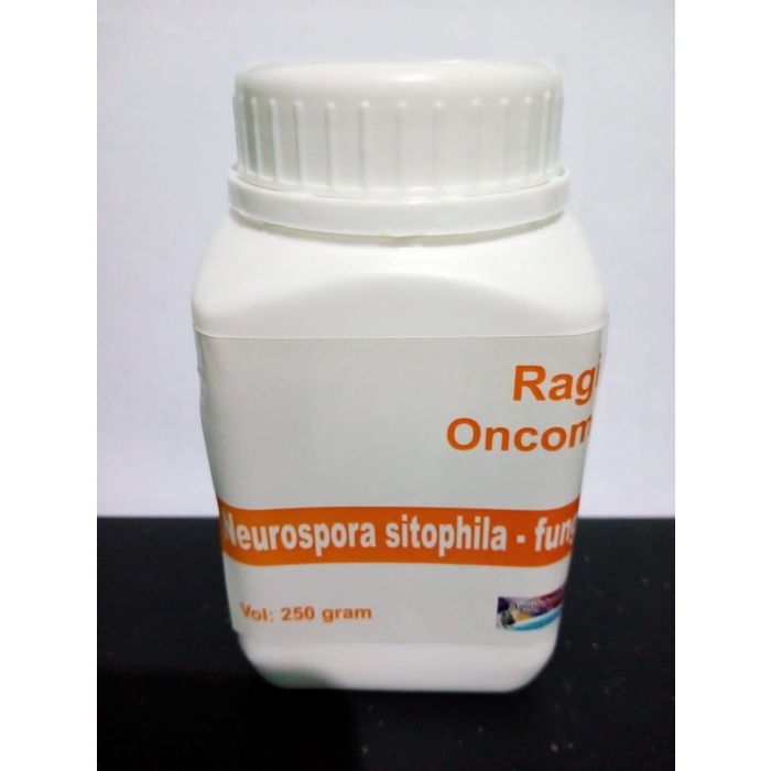 

Hariya Jual Ragi Oncom Merah 250 Gram