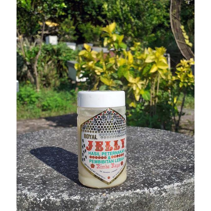 

favorit] Royal Jelly 250 gram