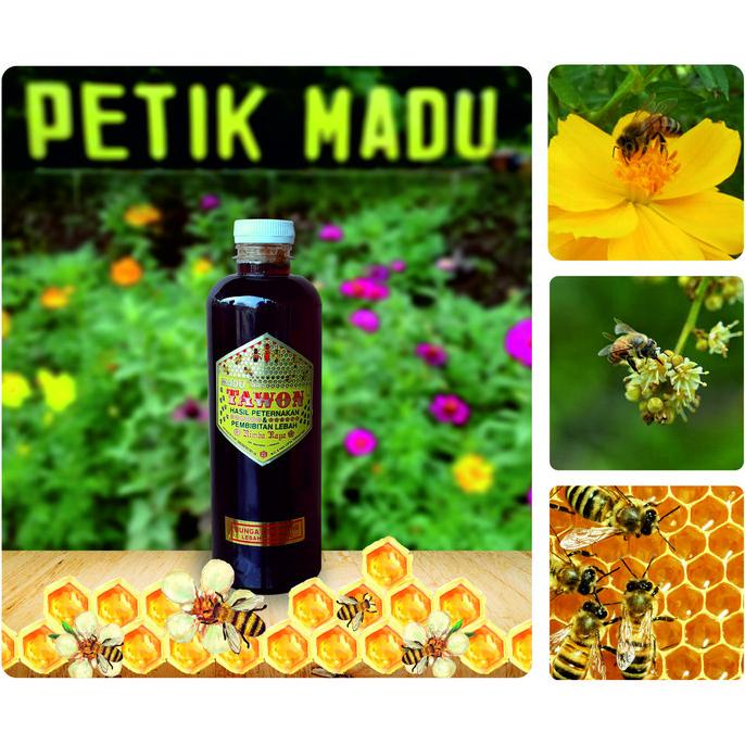 

siap kirim] Madu Murni bunga lengkeng 500 ml botol plastik