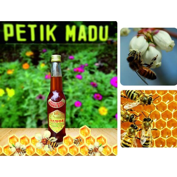 

*$*$*$*$] Madu Murni Bunga Randu 275 ml