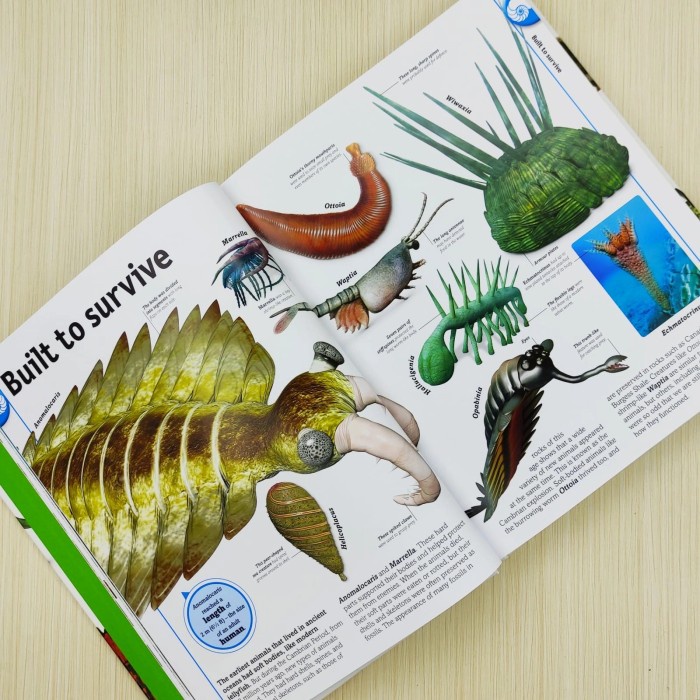 PROMO DK ENCYCLOPEDIA THE DINOSAURS BOOK #L TERBARU