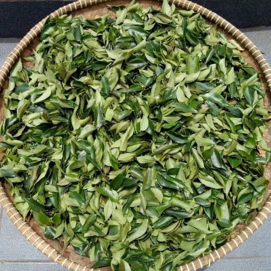 

=====] Daun salam koja kering daun kari kering dried curry leaves 10g