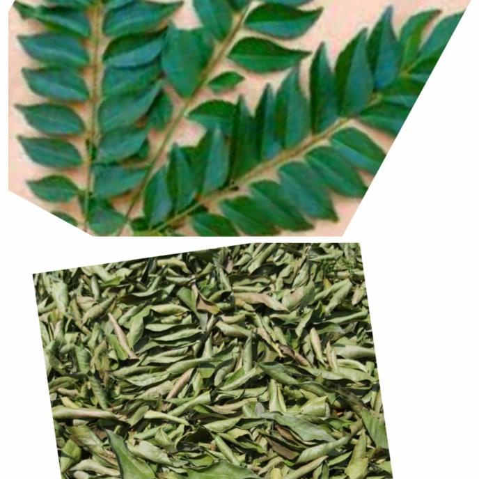 

&<&<&<&] daun kari atau daun Koja kering 10g