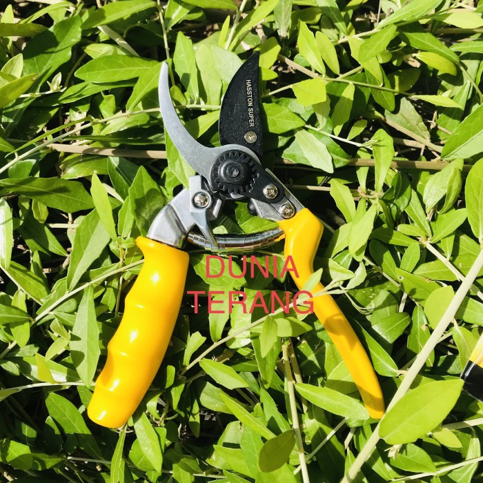 Terlaris Gunting Dahan Hasston Prohex 1350 - Gt Ranting Haston Super 1350