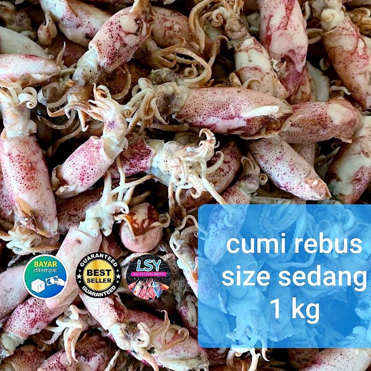 

ZBBF1021 ikan asin cumi rebus / sotong rebus size sedang 1kg