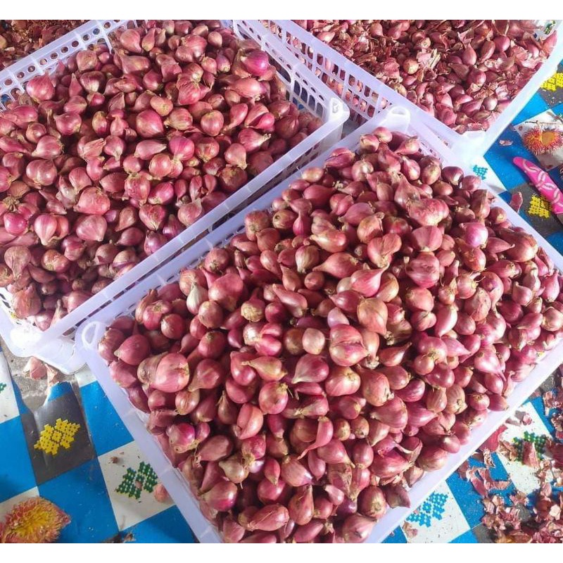 

Bawang Merah Brebes 500gr