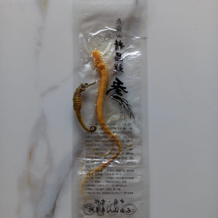 

Ginseng root vacuum akar Ginseng merah segar 20gram+bonus kuda laut 1