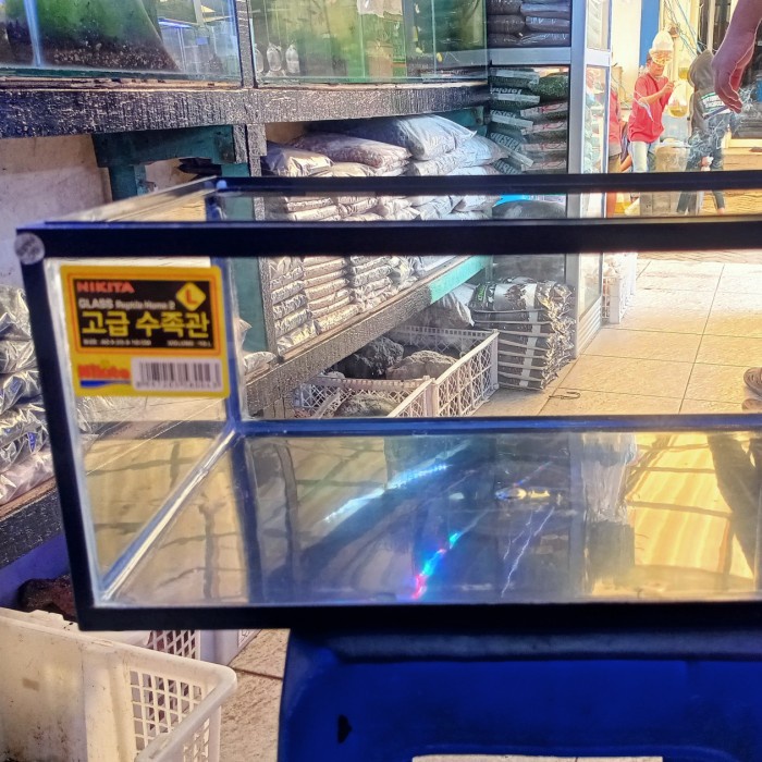 Nikita L pendek Aquarium reptil tanpa tutup