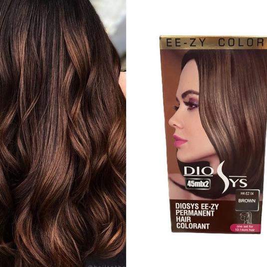 Kualitas terbaik] DIOSYS EEZY PERMANENT HAIR COLORANT 45ml x 2 BROWN 04