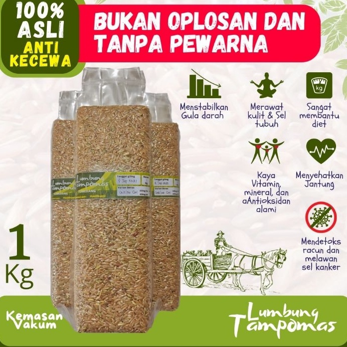 

JPGB4974 7.7 Beras Coklat Asli Lumbung Tampomas • Kualitas Terbaik • Kemasan FoodGrade microbafilter [GRATIS BUBBLEWRAP]