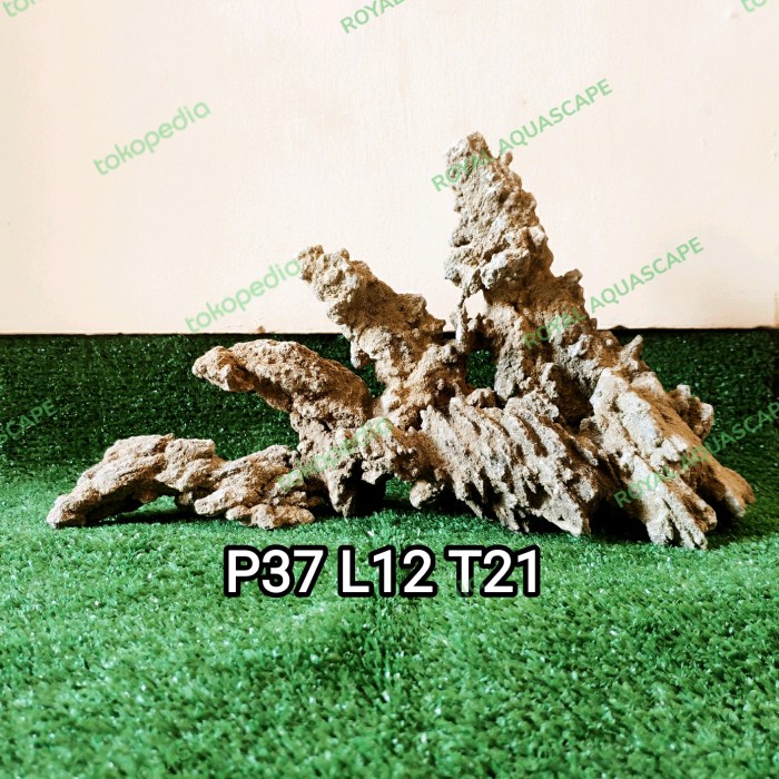 Hardscape aquascape
