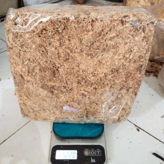 Termantab] Media tanam sphagnum moss 500 gram, spagnum moss import chile