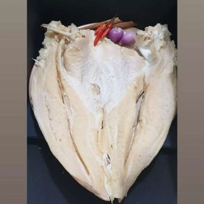 

Ikan asin jambal roti utuh 1 ekor