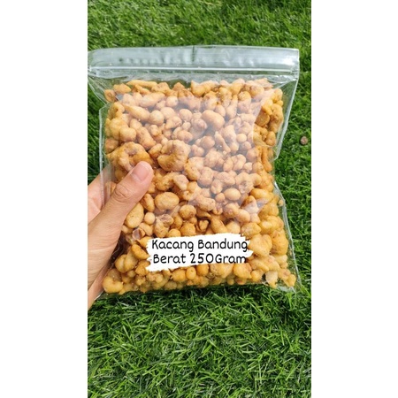 

Kacang Bandung