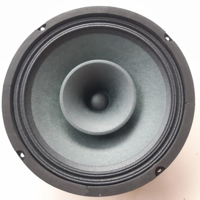 SPEAKER 10 INCH FULLRANGE AUDAX 200 WATT ORIGINAL ASLI 10" 10IN AUDAX