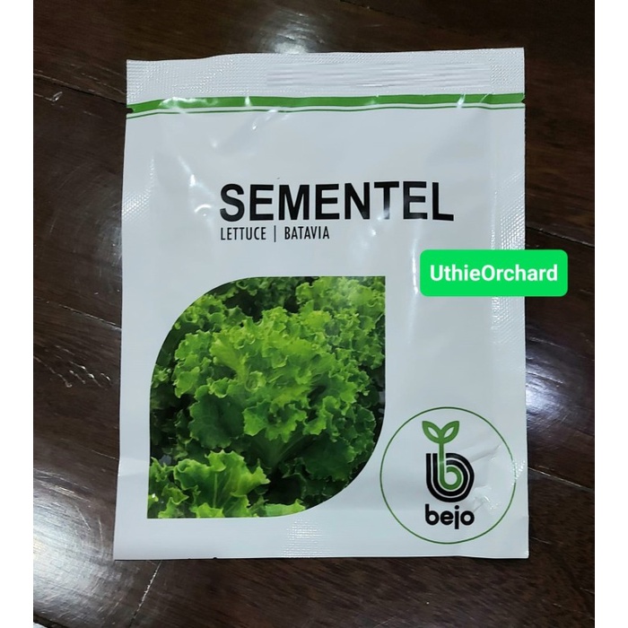 Benih Bejo Seed - Selada Batavia Sementel Kemasan 1000 pills