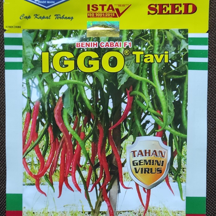 Benih bibit cabe IGGO TAVI isi 10gram