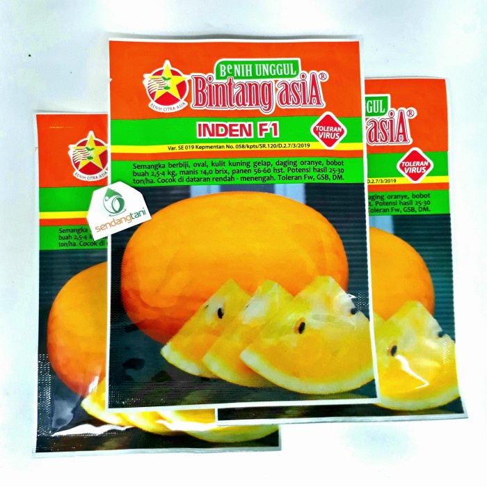 INDEN F1 Benih Bibit Semangka Madu Kuning Bintang Asia