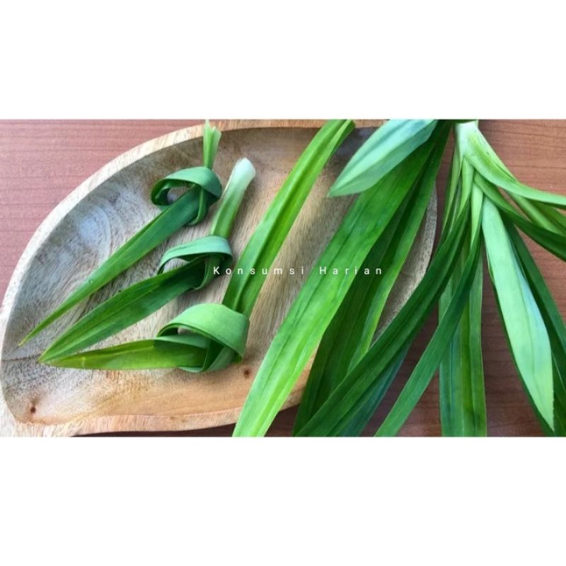 

Pandan 1 ikat