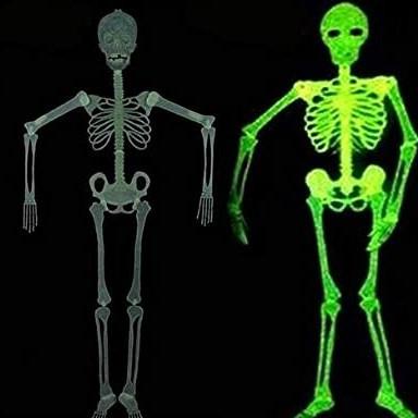

Terbaik Halloween Skeleton Glow In The Dark / Pajangan Dekorasi Tengkorak Sale Terbaik