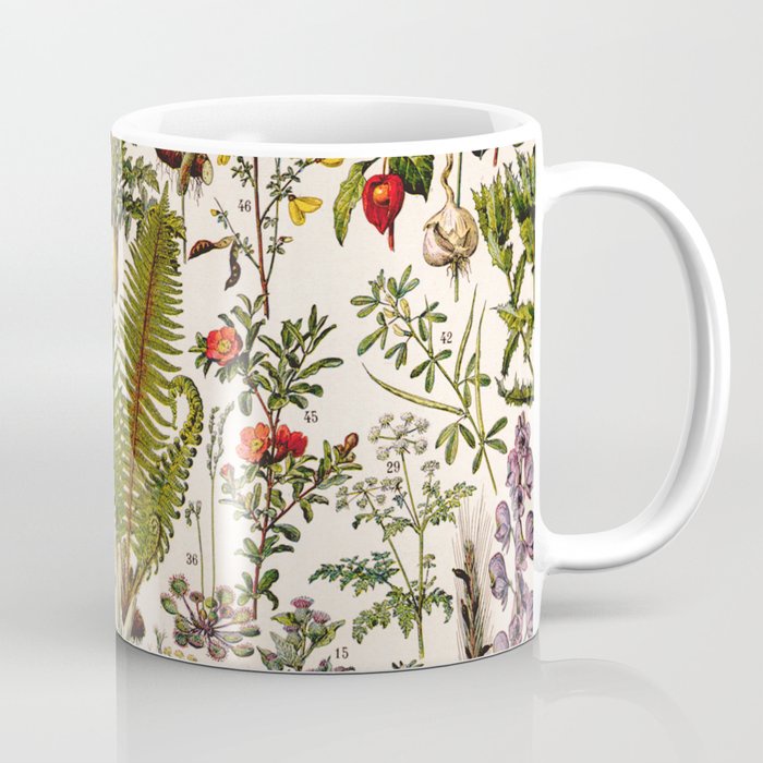 Adolphe Millot - Plantes Medicinales B - Mug Kopi poster vintage Prancis