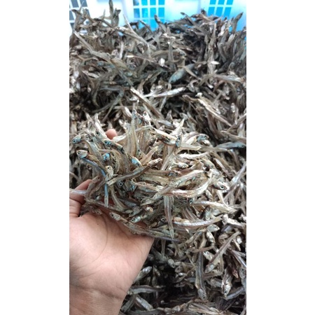 

Ikan Teri kering kemasan 100 gram