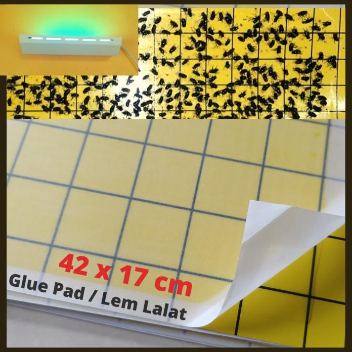 

Glue Pad Refill Ukuran 42 X 17 Cm Baru