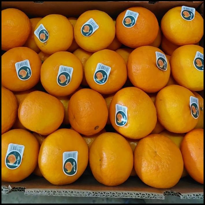 

TERBARU BUAH JERUK WOKAM IMPORT FRESH/ JERUK IMPORT/ HAMPERS !!!