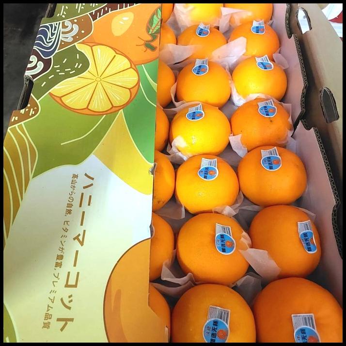 

BEST DEAL BUAH JERUK WOKAM FRESH ENAK ISI 50 AN PIS/ JERUK WOKAM IMPORT/ KADO