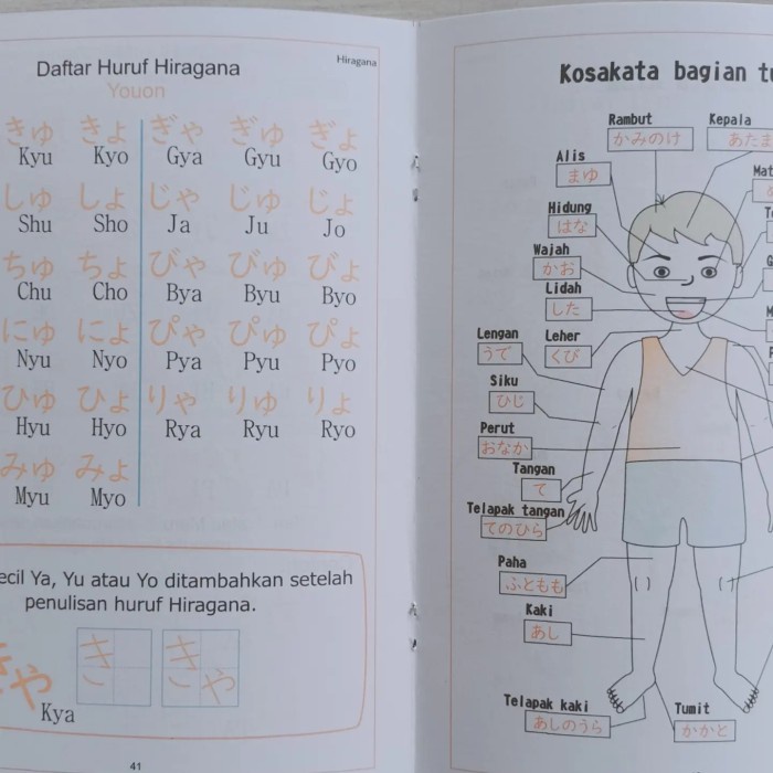 

NEW Buku latihan menulis Hiragana Katakana