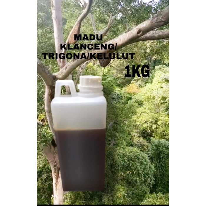 

MADU KLANCENG/KELULUT/TRIGONA 1KG