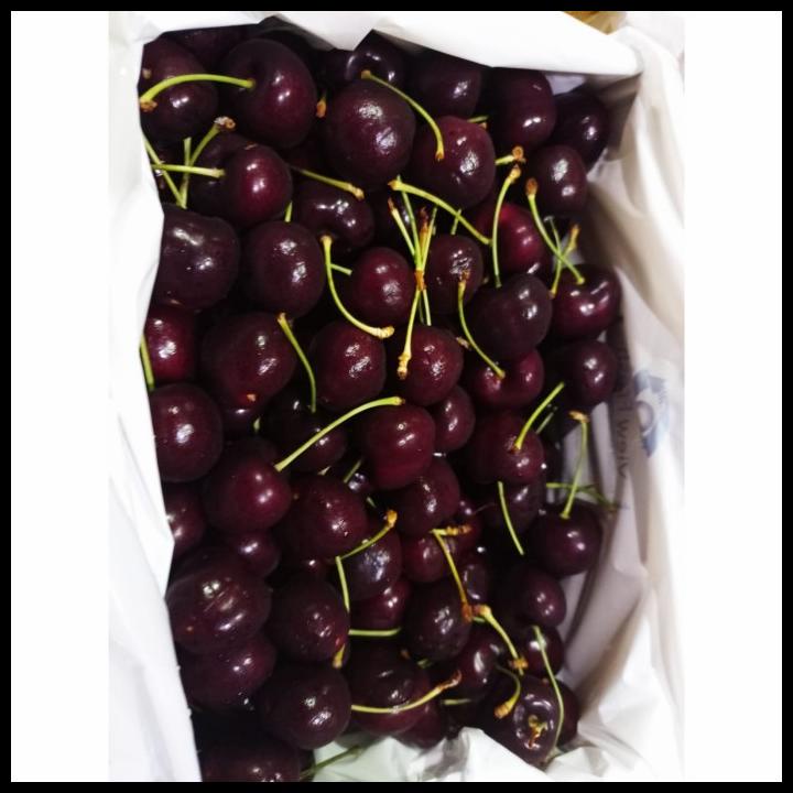 

DISKON TURUN HARGA BUAH CHERRY TASMANIAN 2 KG/ BUAH CHERRY MANIS GARING/ GIFT