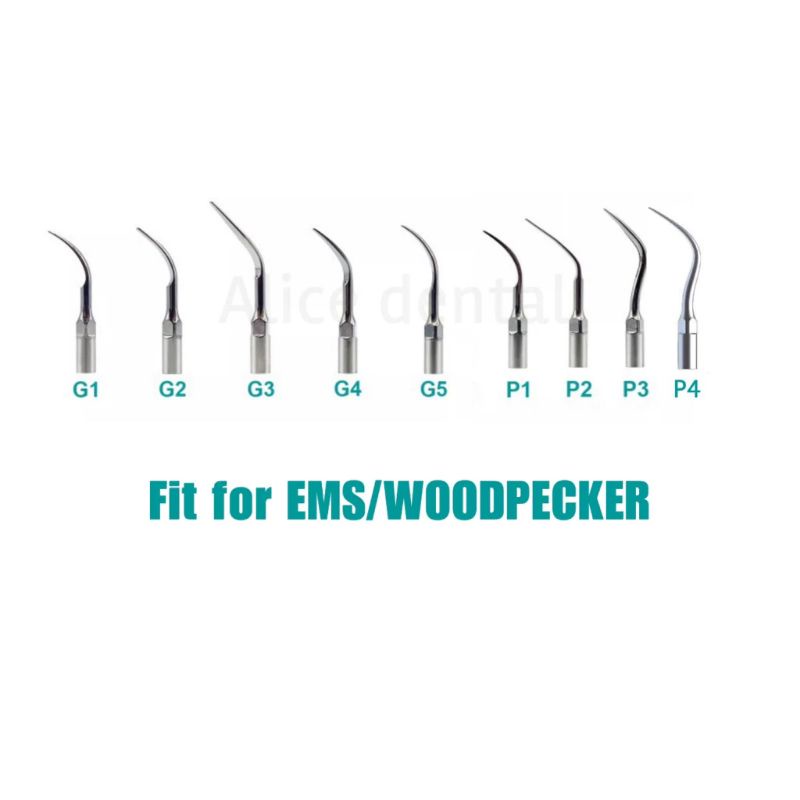 Tip scaler EMS/Woodpecker