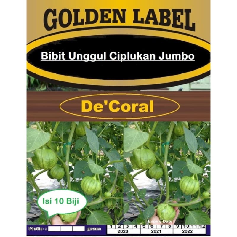 Bibit Unggul Ciplukan Jumbo | Benih Ciplukan Jumbo