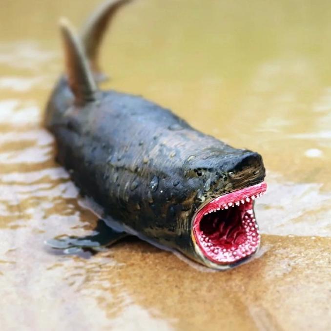 Mainan Hiu megalodon toys figure