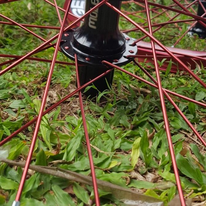 Wheelset Edge 20' 451 Disc Brake