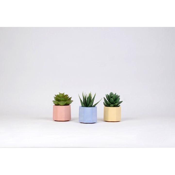 Properti Foto Mini SUKULEN ARTIFICIAL Pot Cactus Kecil Tanaman Palsu Dekorasi Tanaman Bunga Sintetis