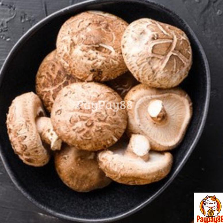 

Terjangkau - JAMUR SHITAKE HIOKO / XIANG GU / JAMUR KERING / FRAGRANT MUSHROOM 50 - 250 GRAM !!