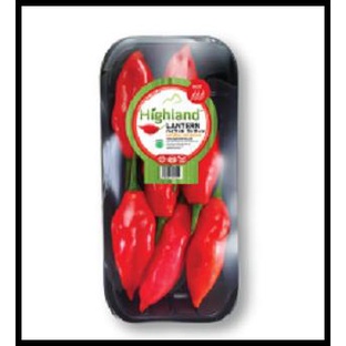 

HOT DEAL HIGHLAND LANTERN CHILLI CABE LANTERN PER PACK 100GR/SAYURAN !!