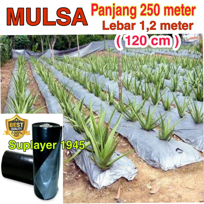 Mulsa ( 1 Roll )
