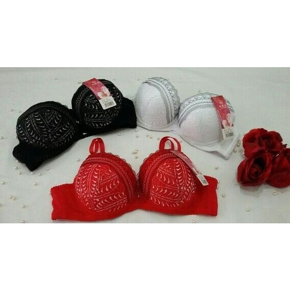 Bra Busa Tebal Push Up Renda Brukat Lace Sexy 8616