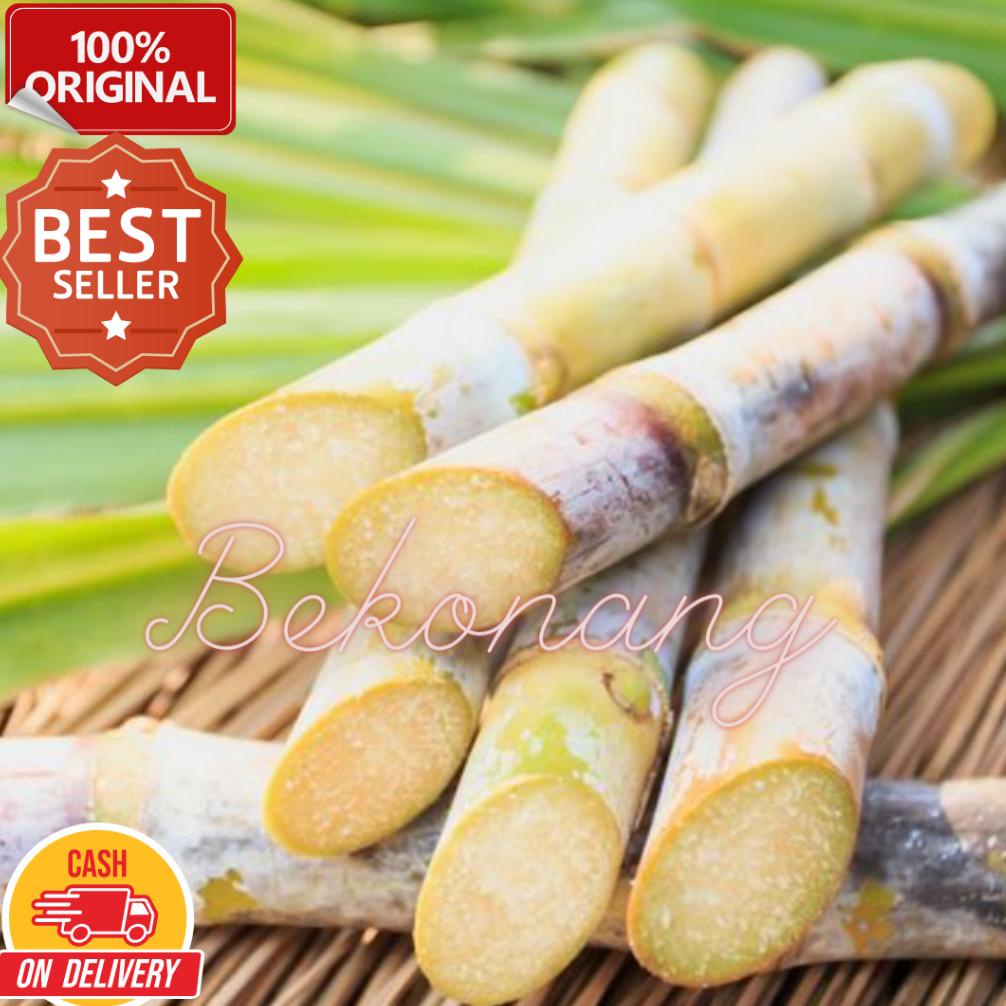 

TREND MONTH MADU GHOLIBAN MADU HUTAN ASLI ORIGINAL KEMASAN 1KG MENGANDUNG BEEPOLLEN ROYAL JELLY FULL DISCOUNT