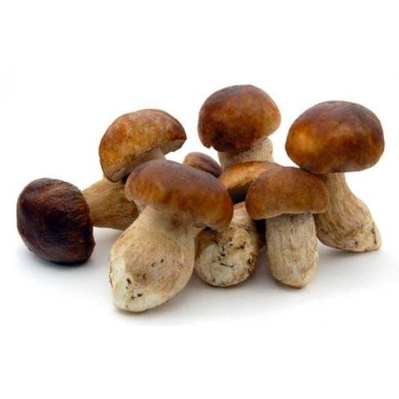 

Frozen Porcini Mushroom 1kg
