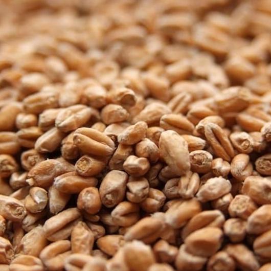 

*#*#*#] Weyermann Pale Wheat Malt 3.0 - 5.0 EBC 1000gr GERMANY - Grain