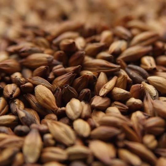 Open DS] Weyermann Munich Malt Type2 16-20 EBC 1000gr GERMANY