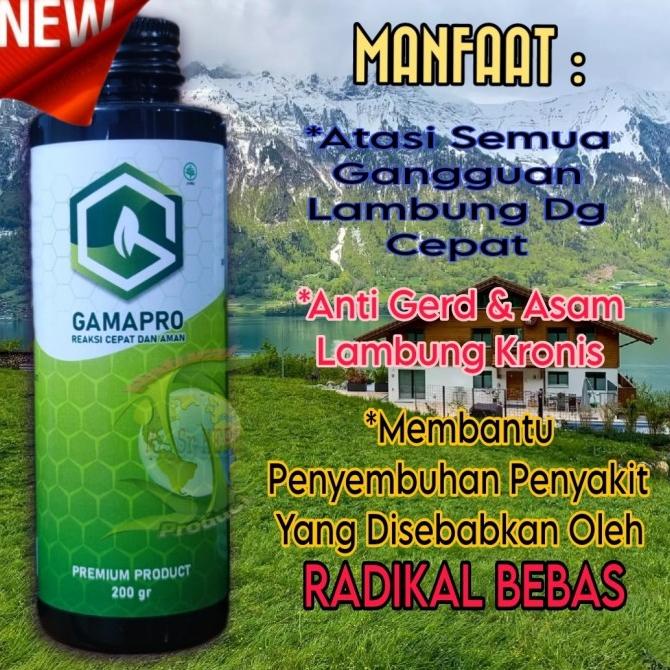 

GAMAPRO MADU HERBAL PREMIUM PENYELAMAT GANGGUAN LAMBUNG DAN ATASI GERD DONATAMAULI